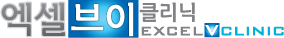 엑셀브이