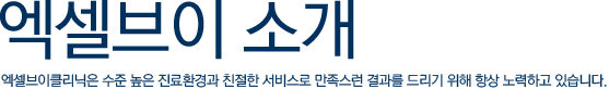 RF고주파